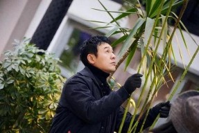 娱乐吃瓜酱张颂文